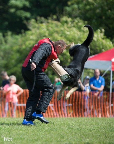All Breed Nationals 2014