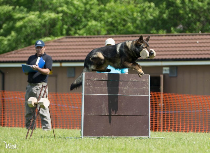 All Breed Nationals 2014