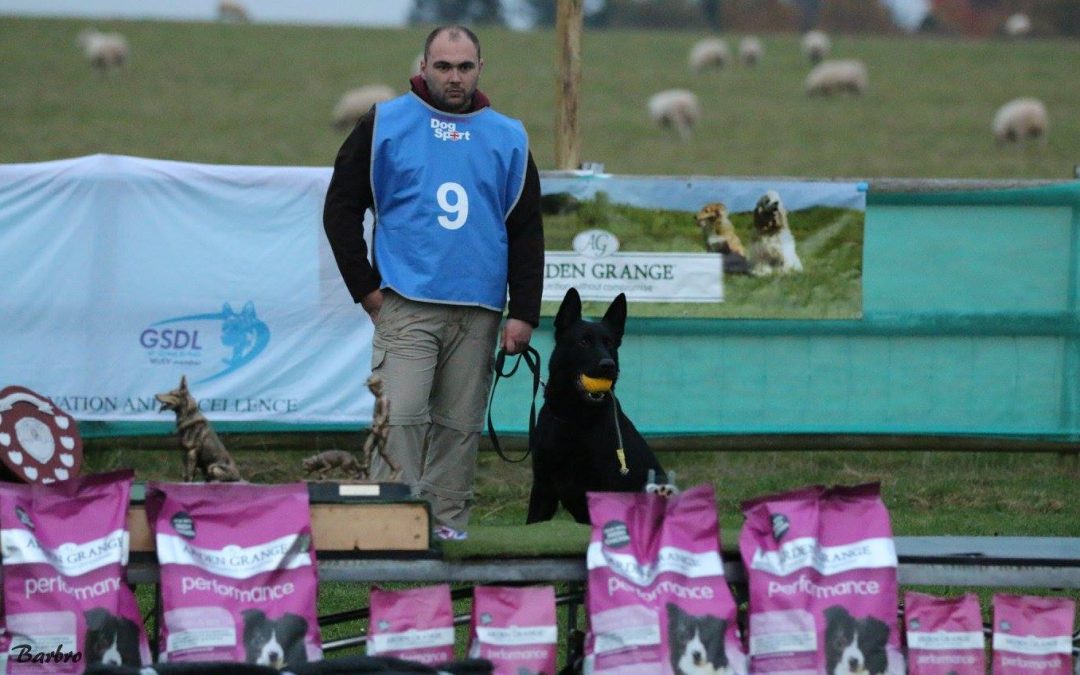 GSDL Nationals 2016 – Third Place
